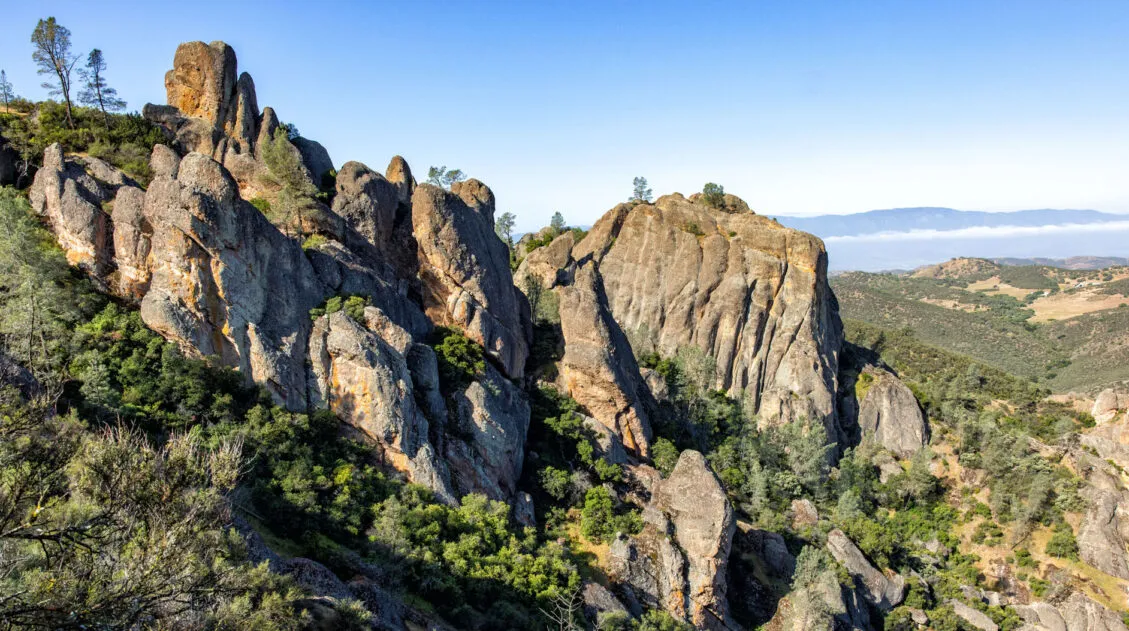 One Day in Pinnacles