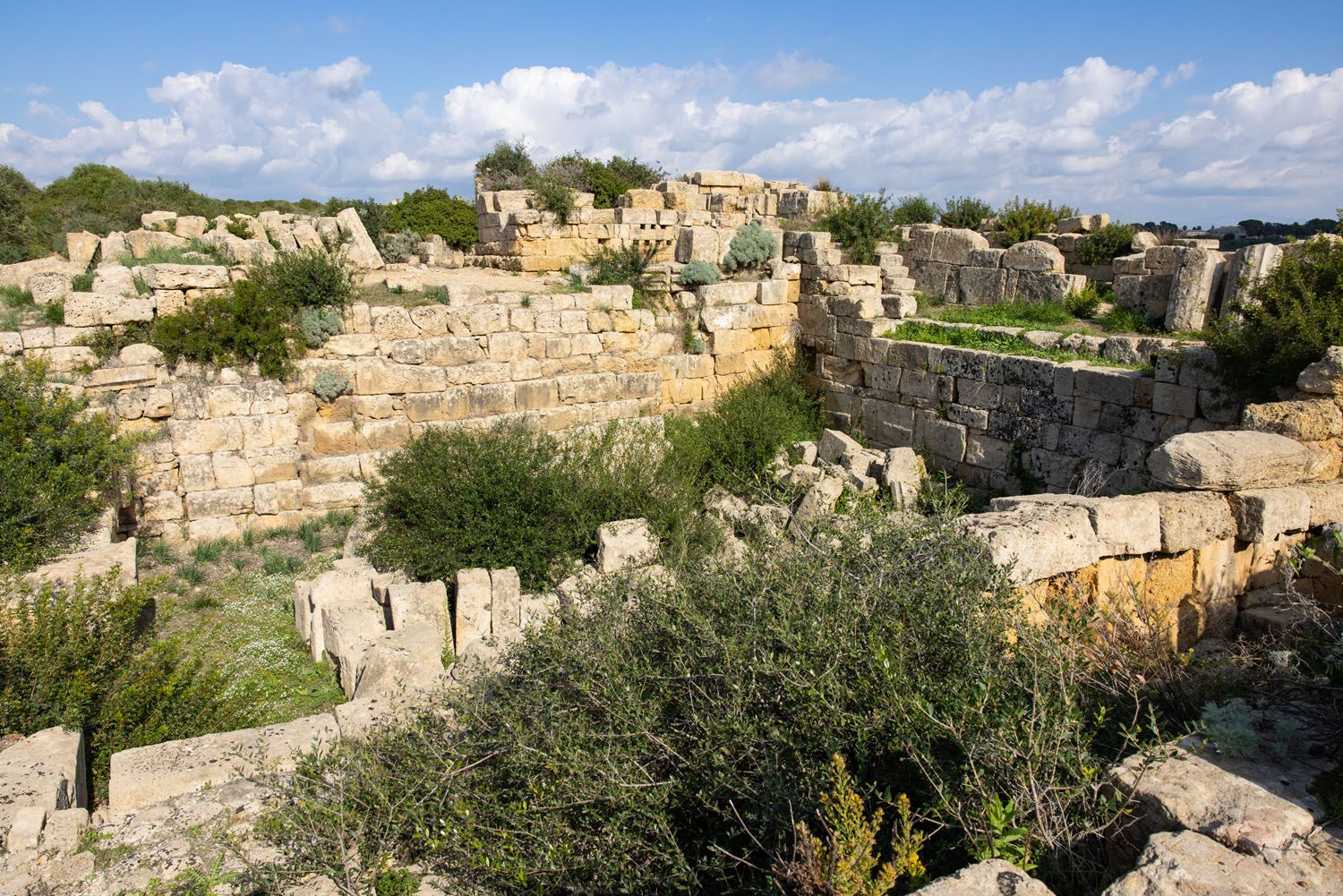 Selinunte Acropolis Ruins