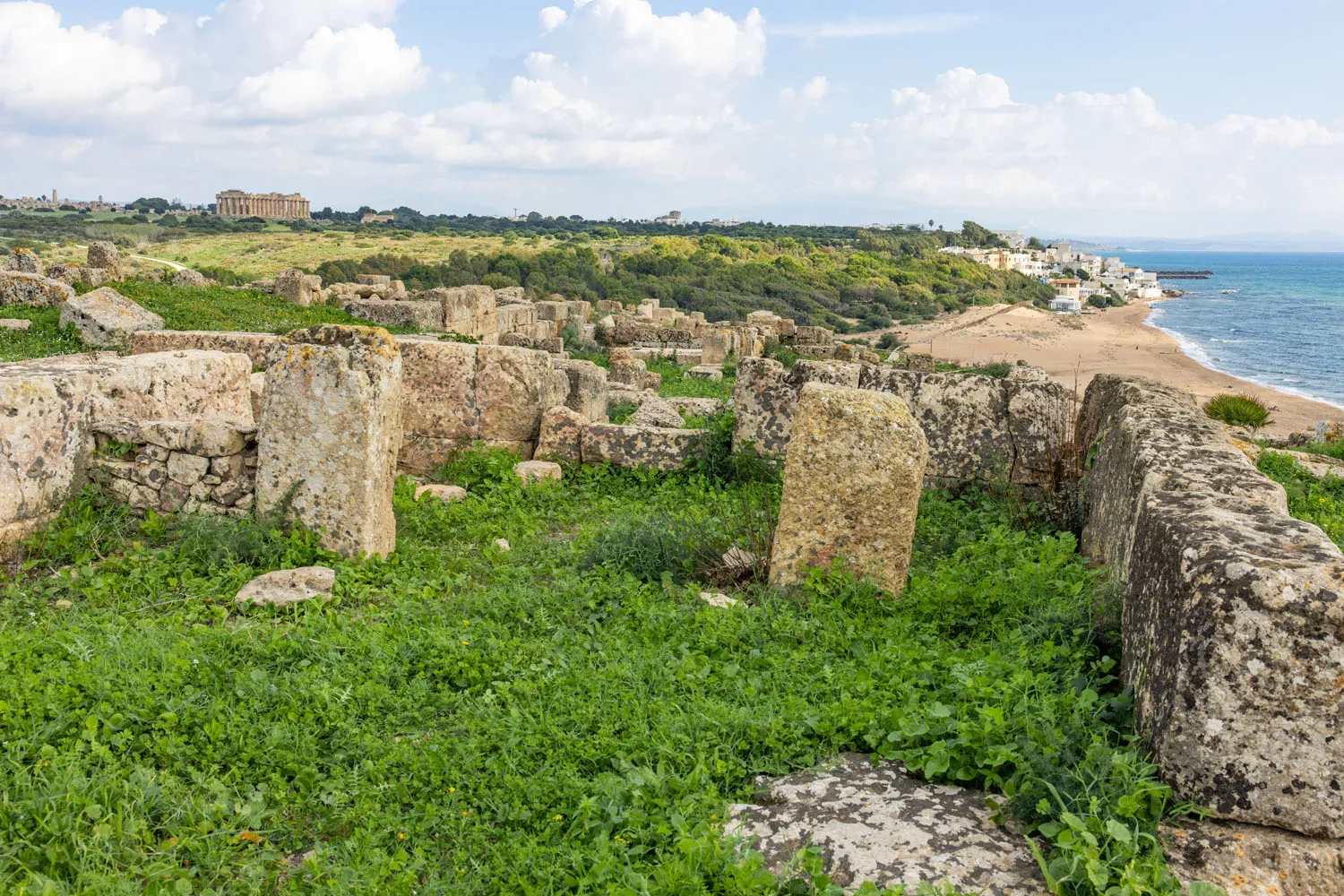 Selinunte Coast View