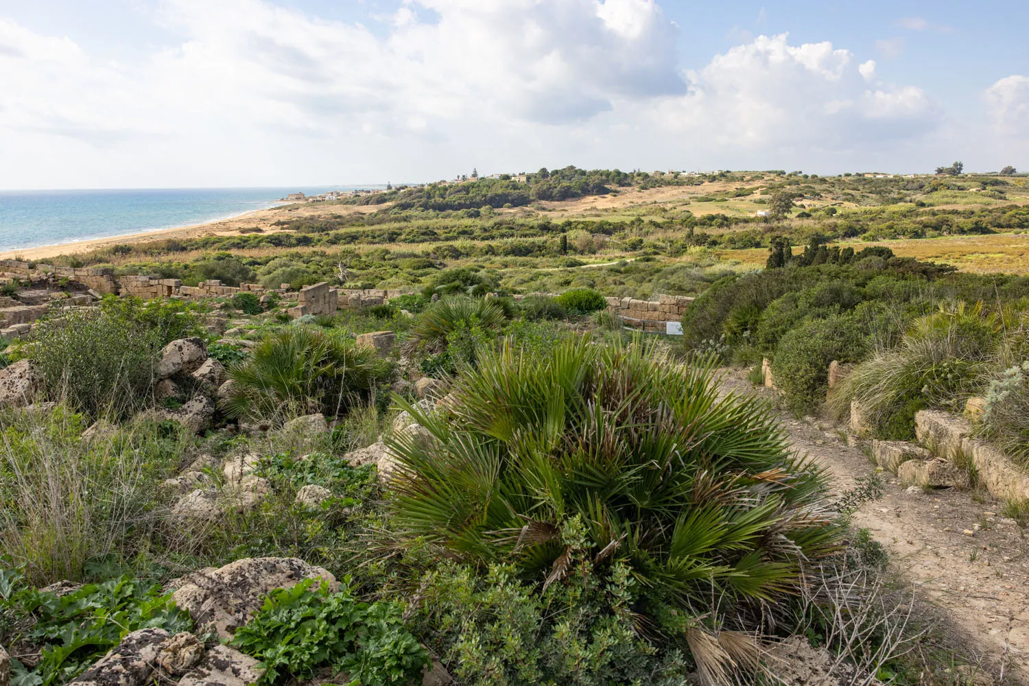Selinunte Viewpoint