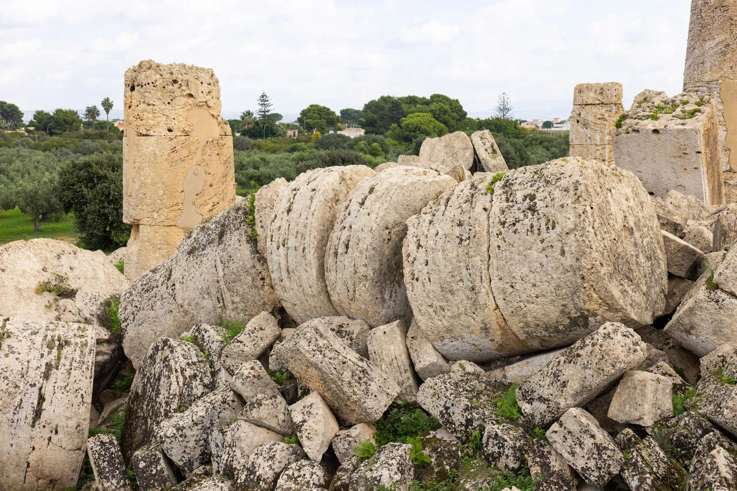 Temple G Selinunte