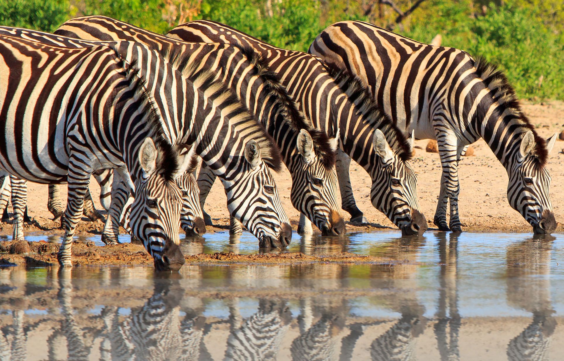 Zambia Travel Guide