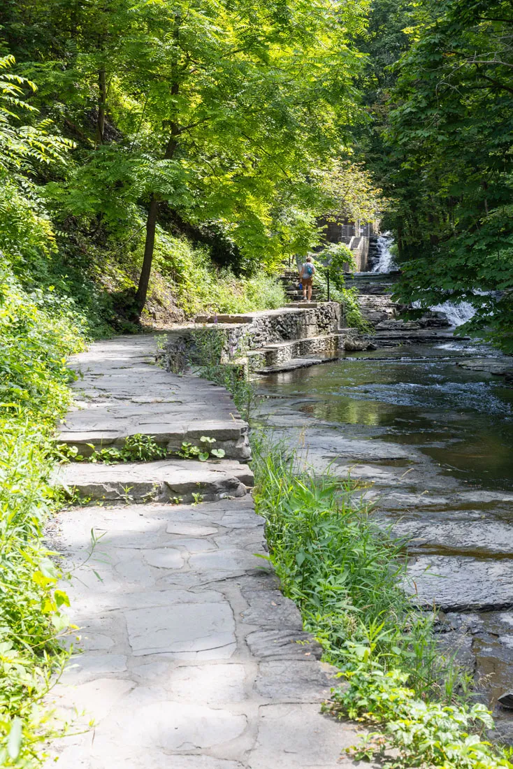 Cascadilla Gorge Trail Photo