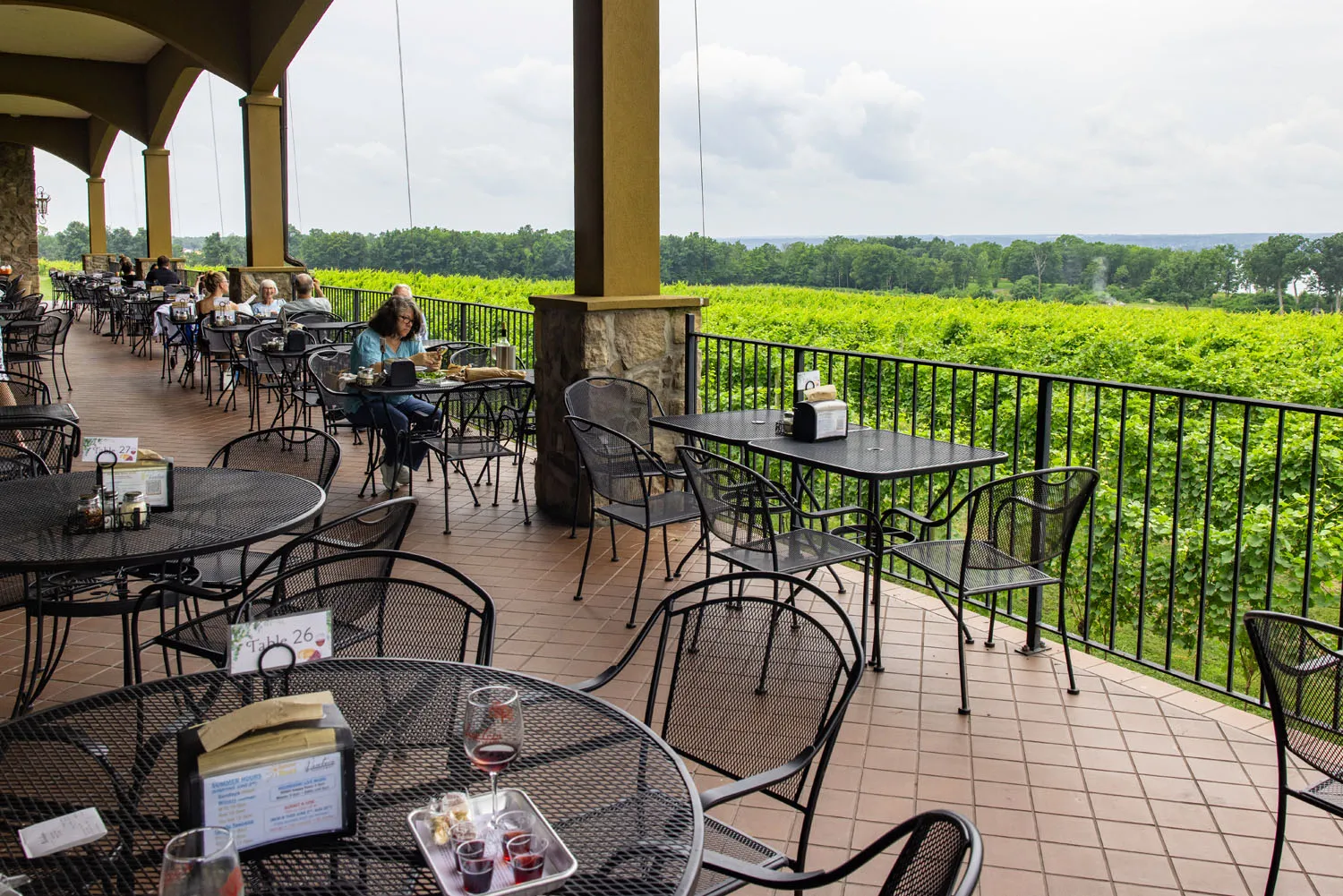 Ventosa Vineyards