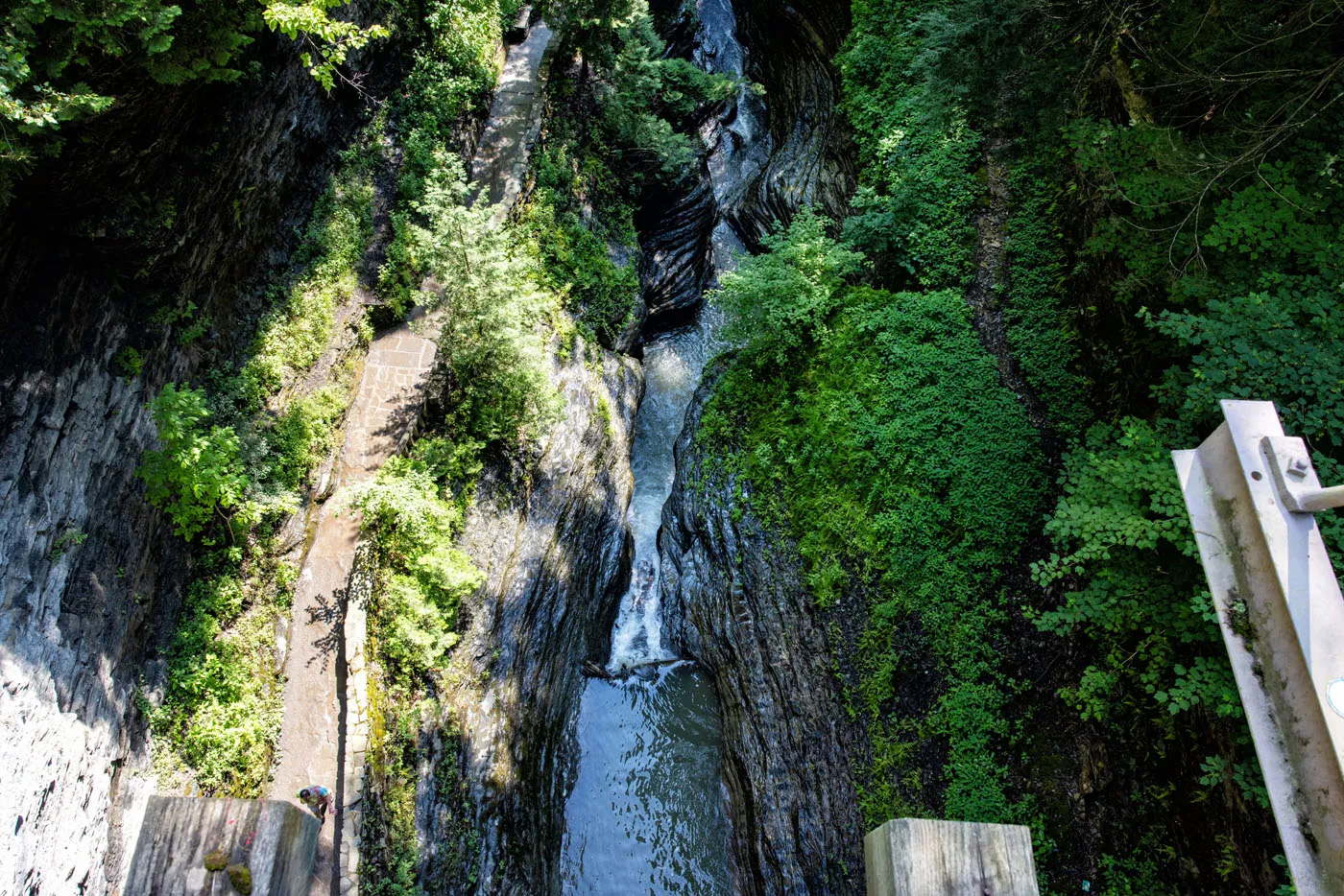 View from the Bridge