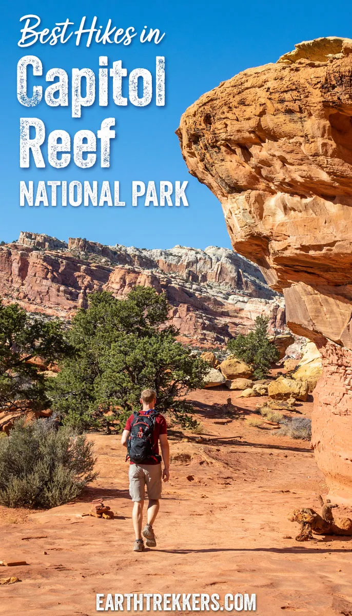 Best hikes in Capitol Reef National Park: Cassidy Arch, Hickman Bridge, Chimney Rock, Navajo Knobs, Rim Overlook, Grand Wash, Headquarters Canyon, Cathedrals Trail, Cohab Canyon, and more.