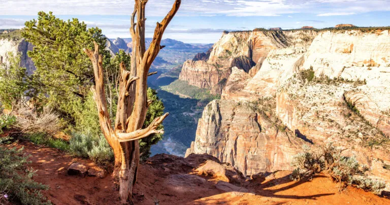Best Hikes in Zion National Park