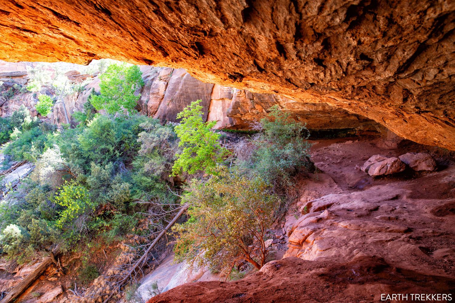 Canyon Overlook Cave