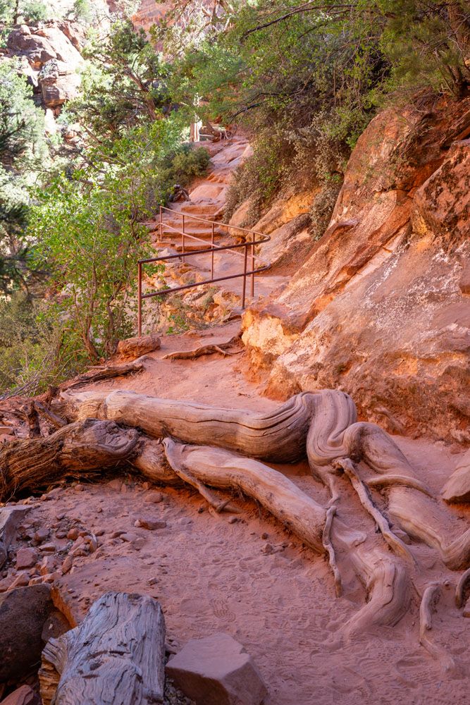 Canyon Overlook Trail Photo