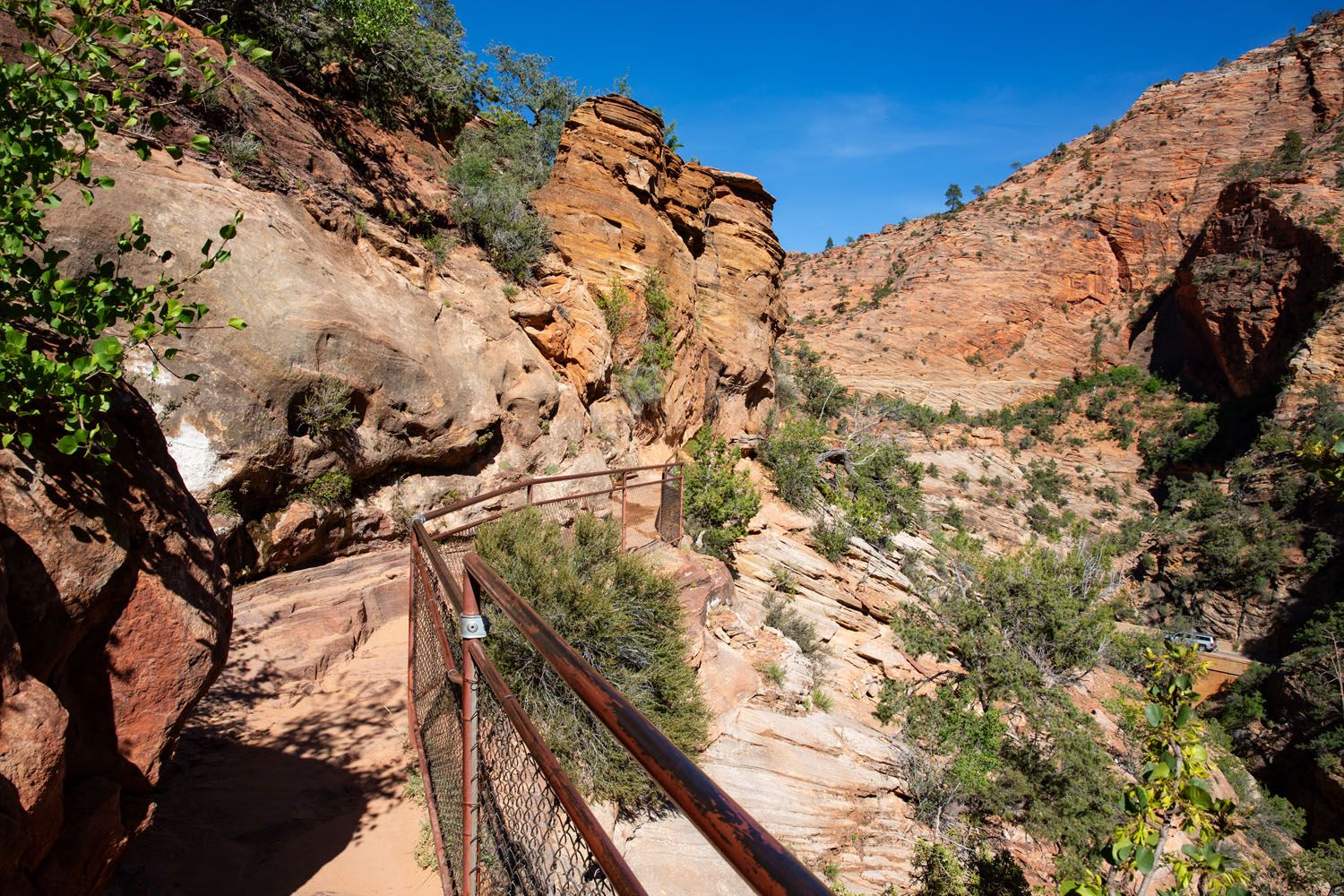 First Part of the Trail