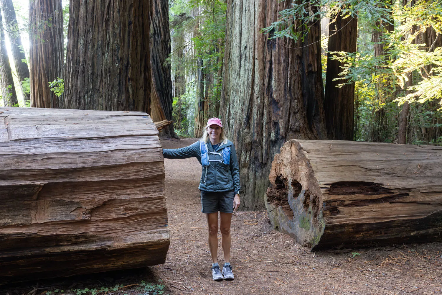 Julie in Redwood National Park