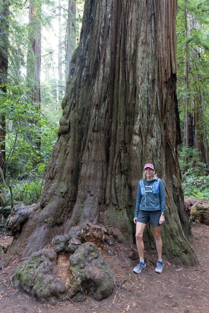 Julie in Stout Grove