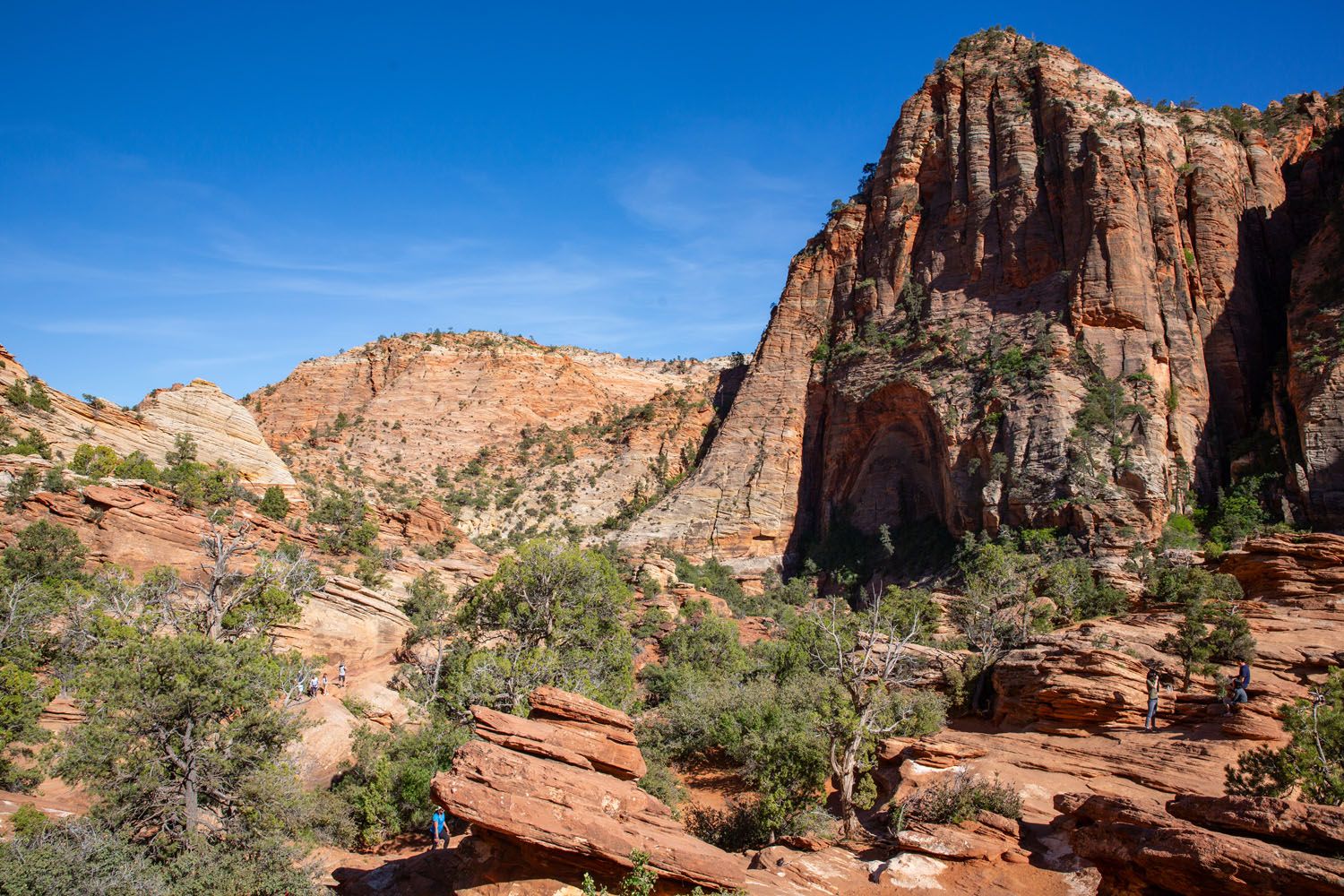 Photo from Canyon Overlook