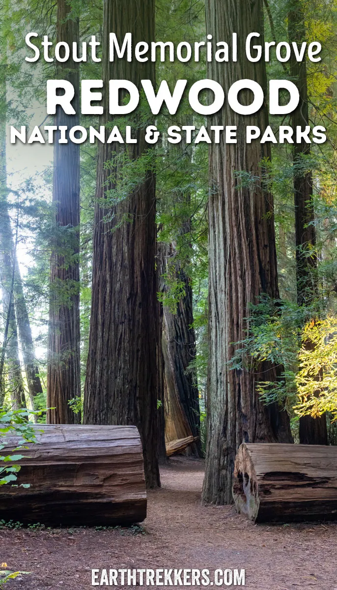 How to hike the Stout Memorial Grove Trail, Jedediah Smith Redwoods State Park, California.