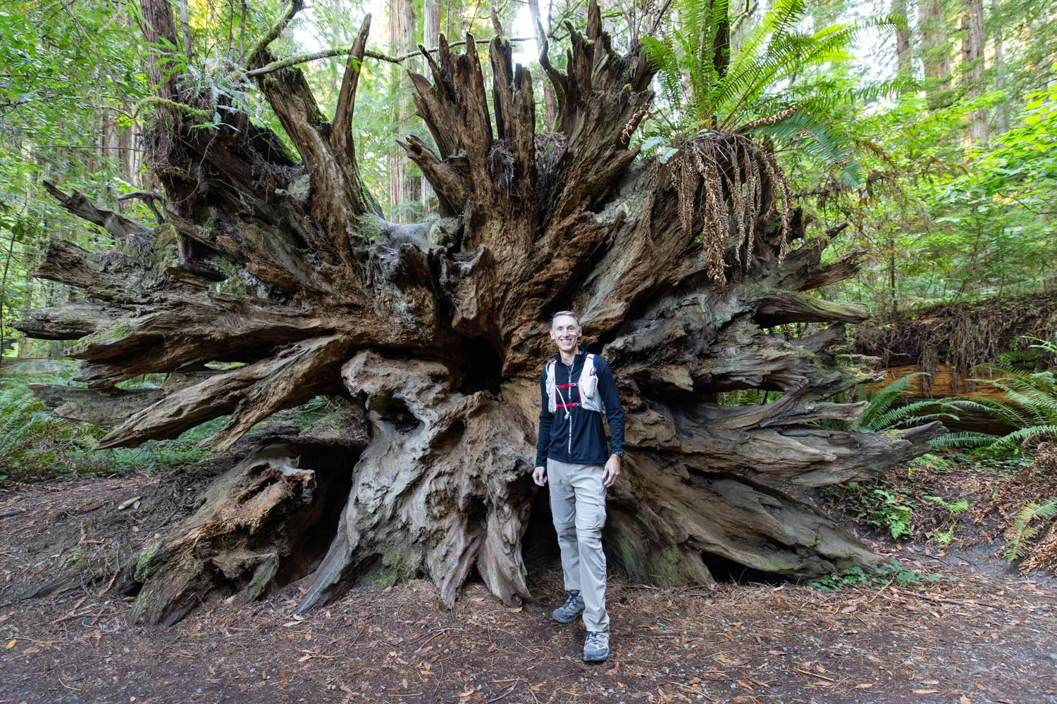 Tim by Redwood Tree Root