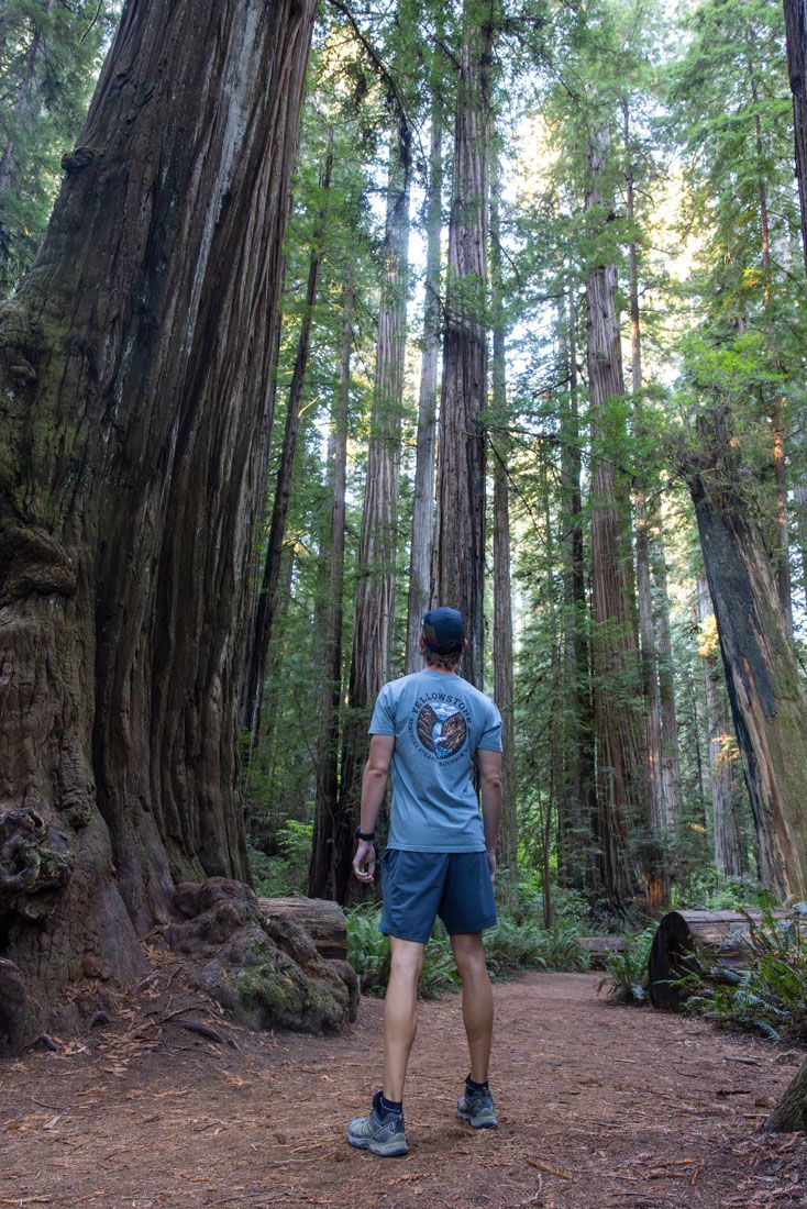 Tyler in Stout Grove