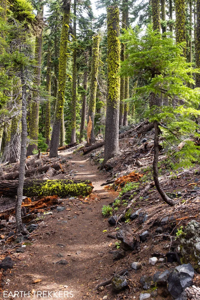 Wizard Island Trail Photo