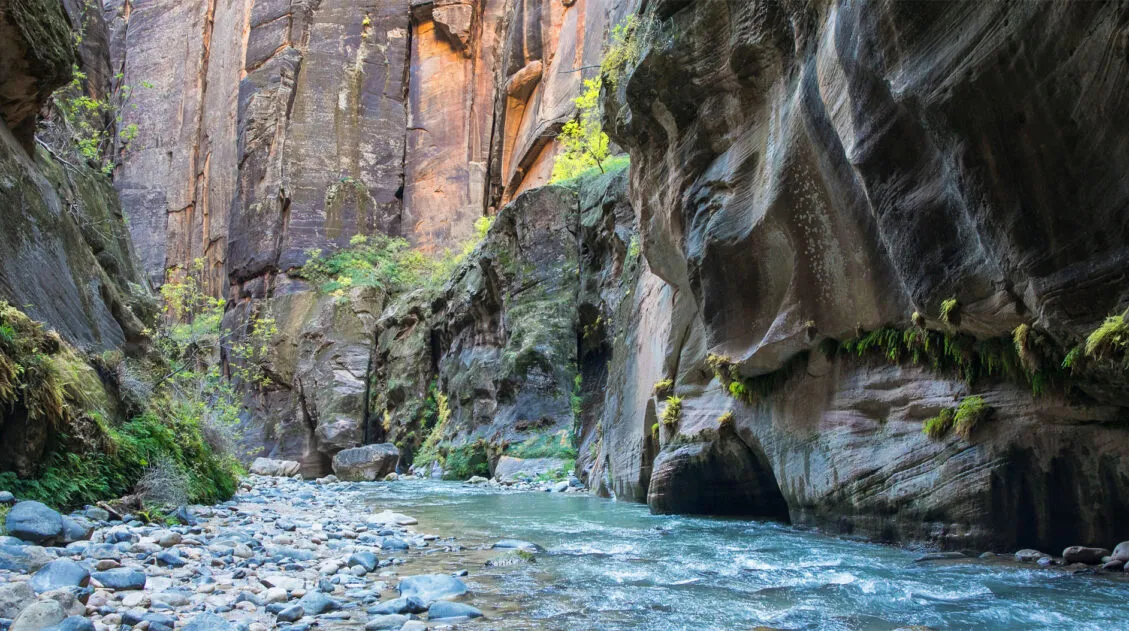 Zion Narrows Photo