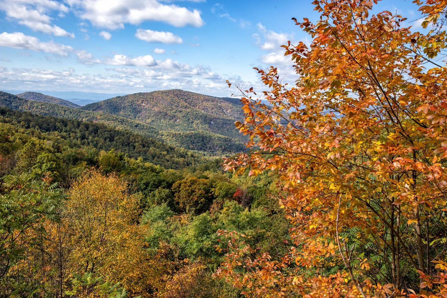Best Time to Visit Shenandoah
