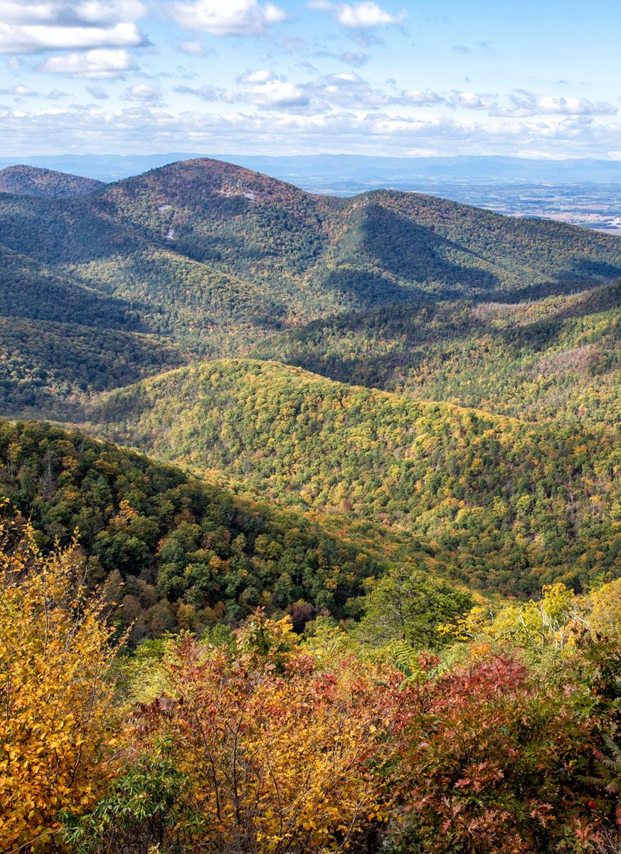 Hikes in Shenandoah