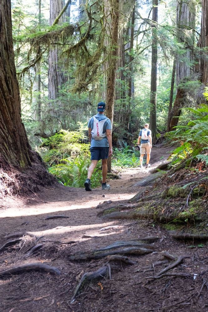 Hiking Trail Jedediah Smith