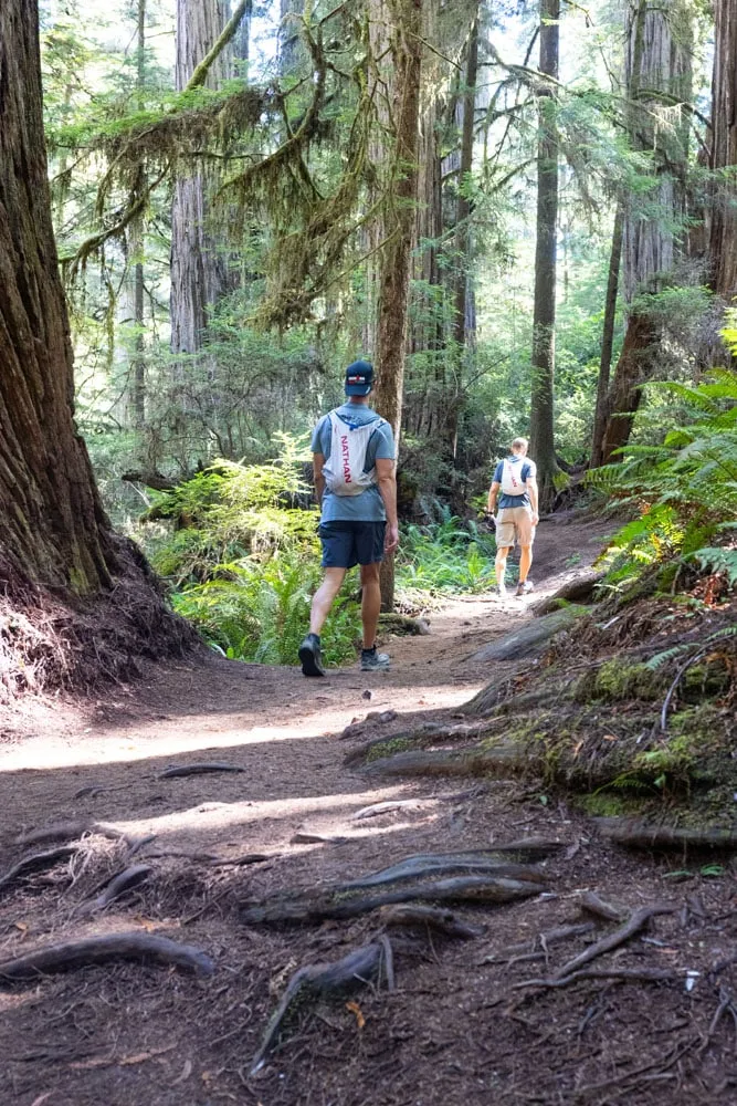 Hiking Trail Jedediah Smith