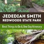Best things to do in Jedediah Smith Redwoods State Park: Stout Tree, Grove of Titans, Boy Scout Tree, Howland Hill Road, Simpson-Reed Trail.