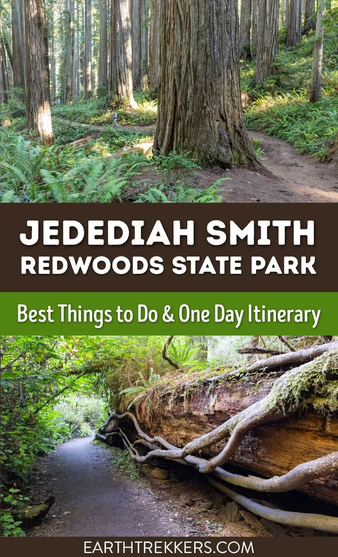 Best things to do in Jedediah Smith Redwoods State Park: Stout Tree, Grove of Titans, Boy Scout Tree, Howland Hill Road, Simpson-Reed Trail.