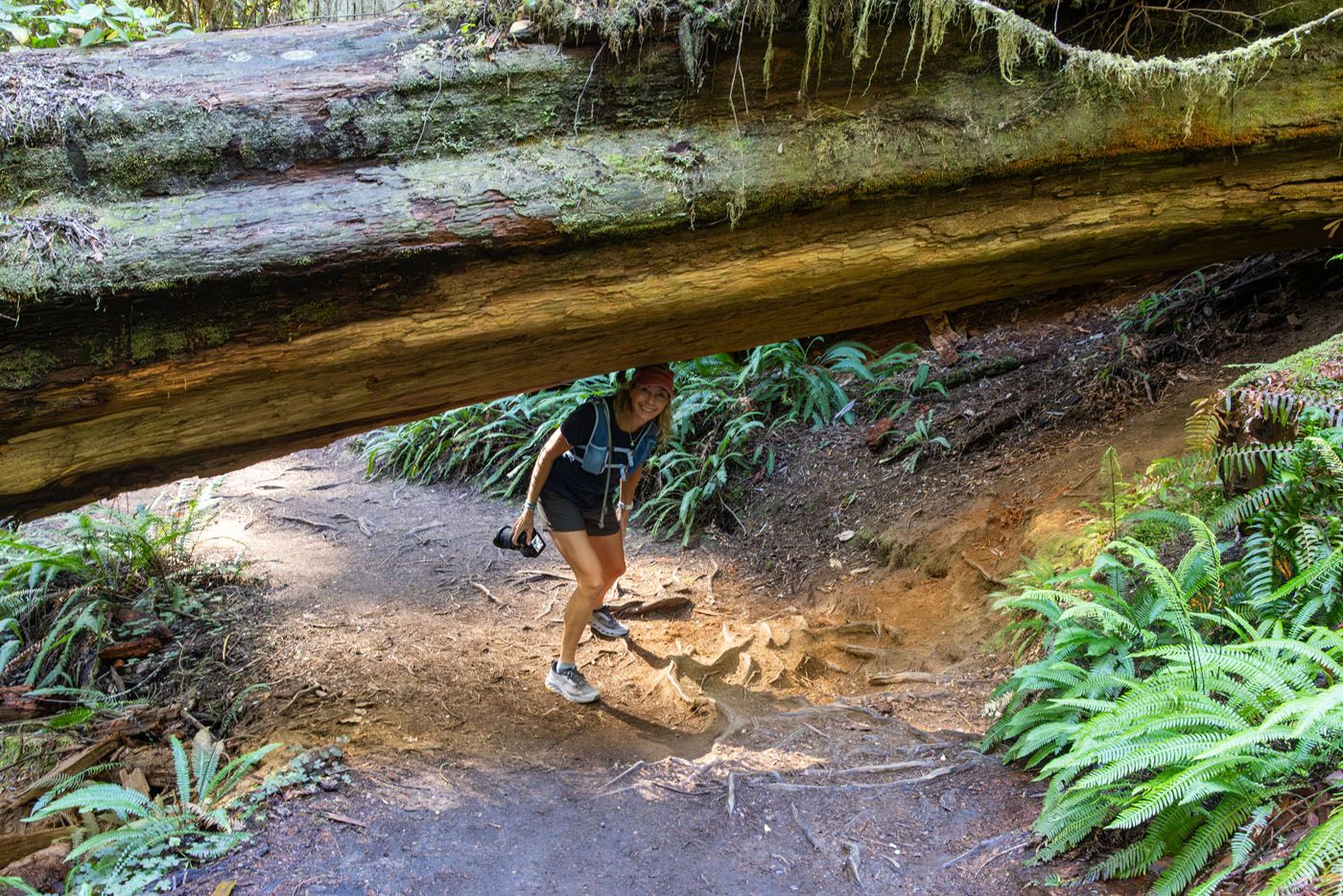 Julie in Jedediah Smith