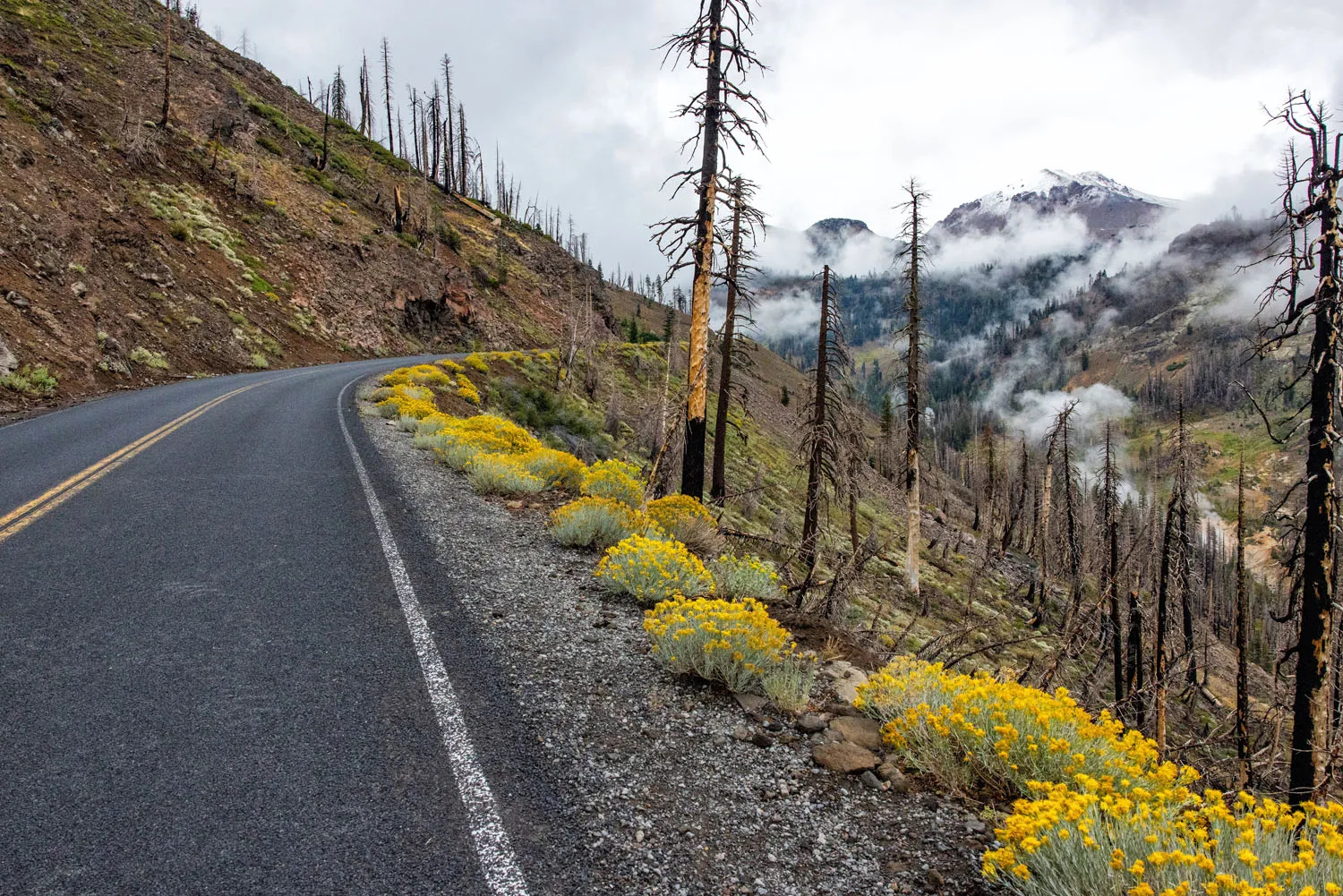 Lassen Peak with Snow