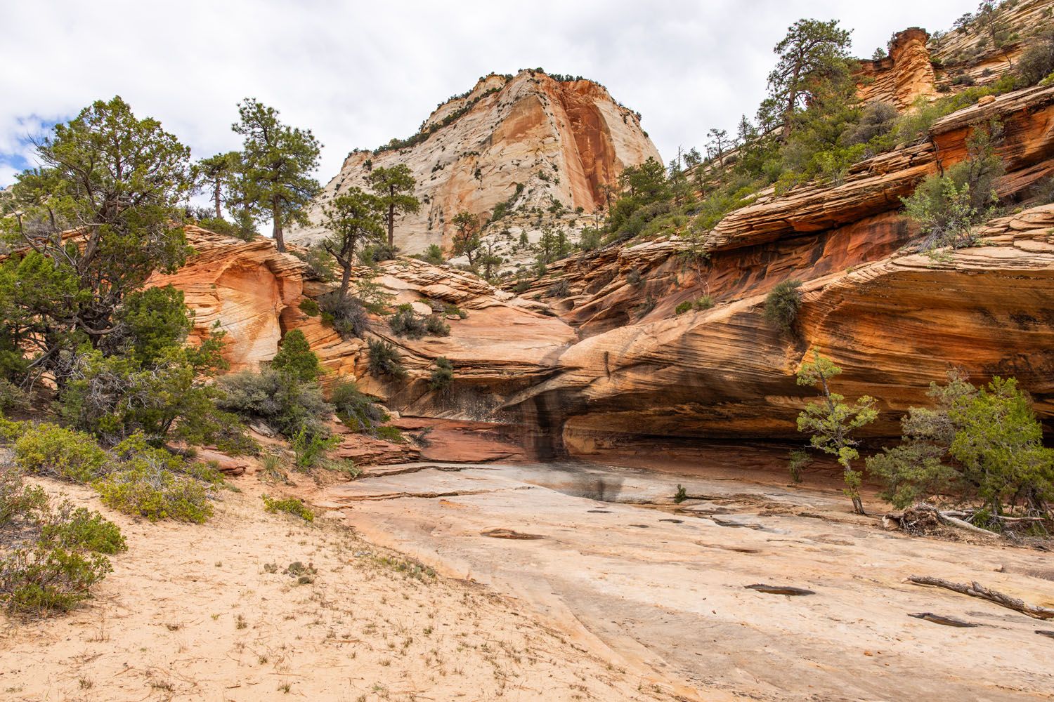 Many Pools Trail Alcove