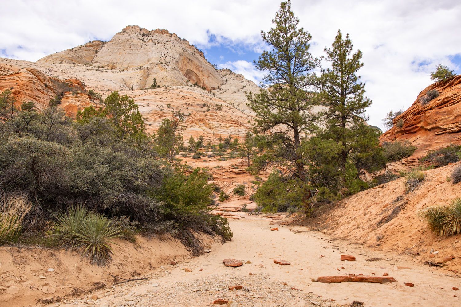 Many Pools Trail Start