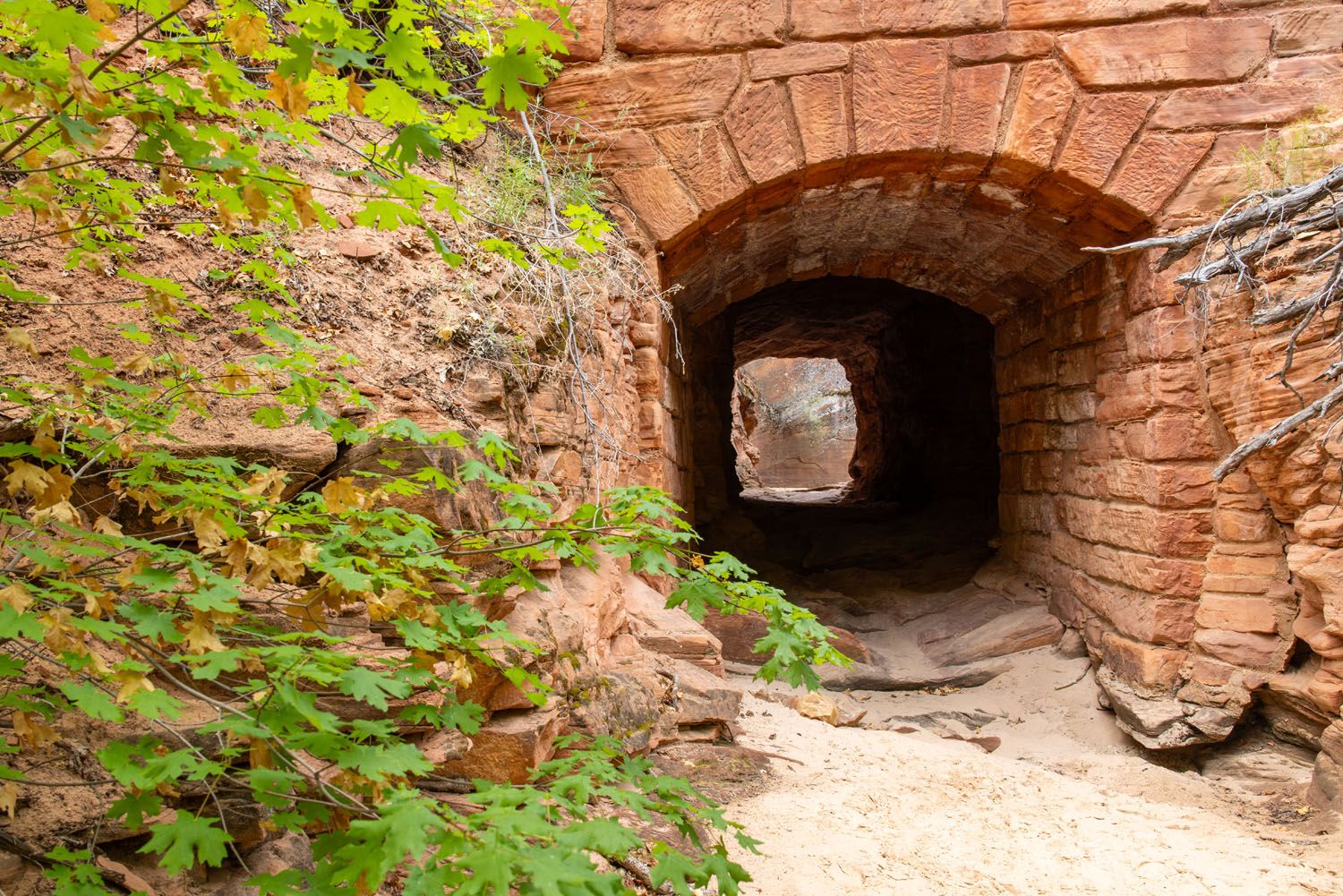 Many Pools Trail Tunnel Zion