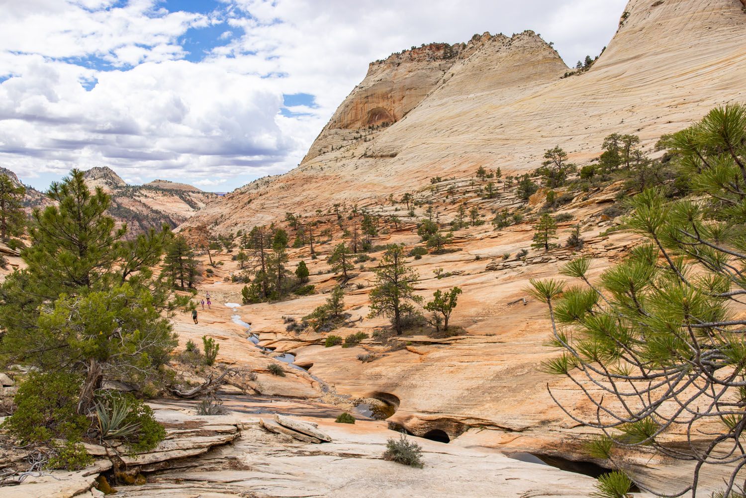 Many Pools Trail View