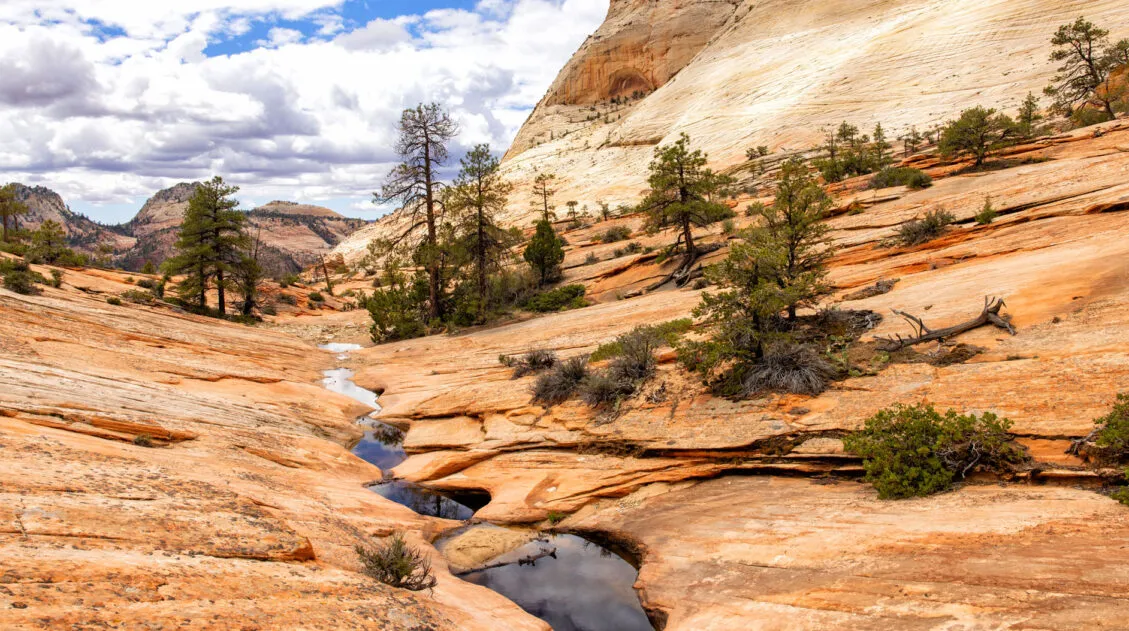 Many Pools Trail Zion