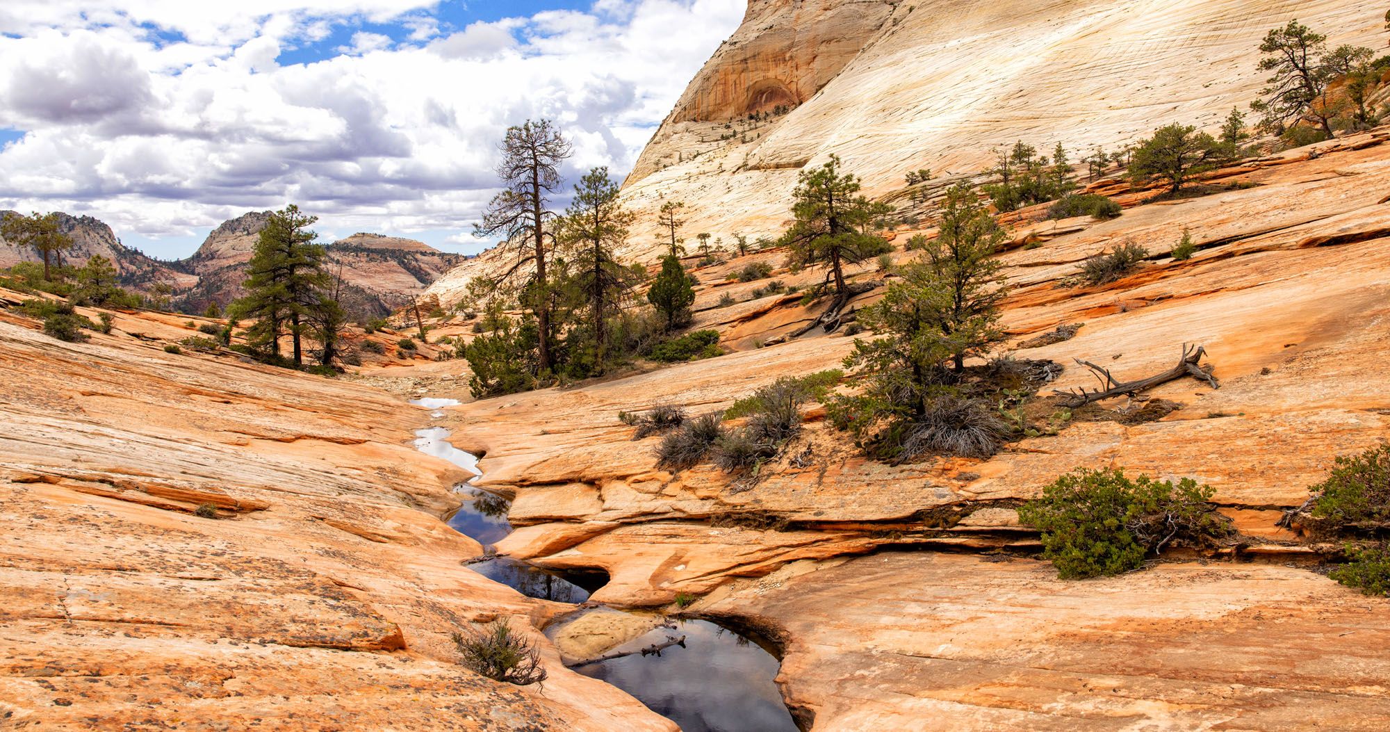Many Pools Trail Zion
