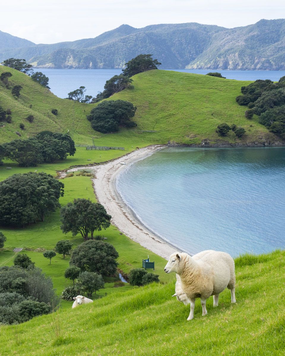 Northland New Zealand Bay of Islands