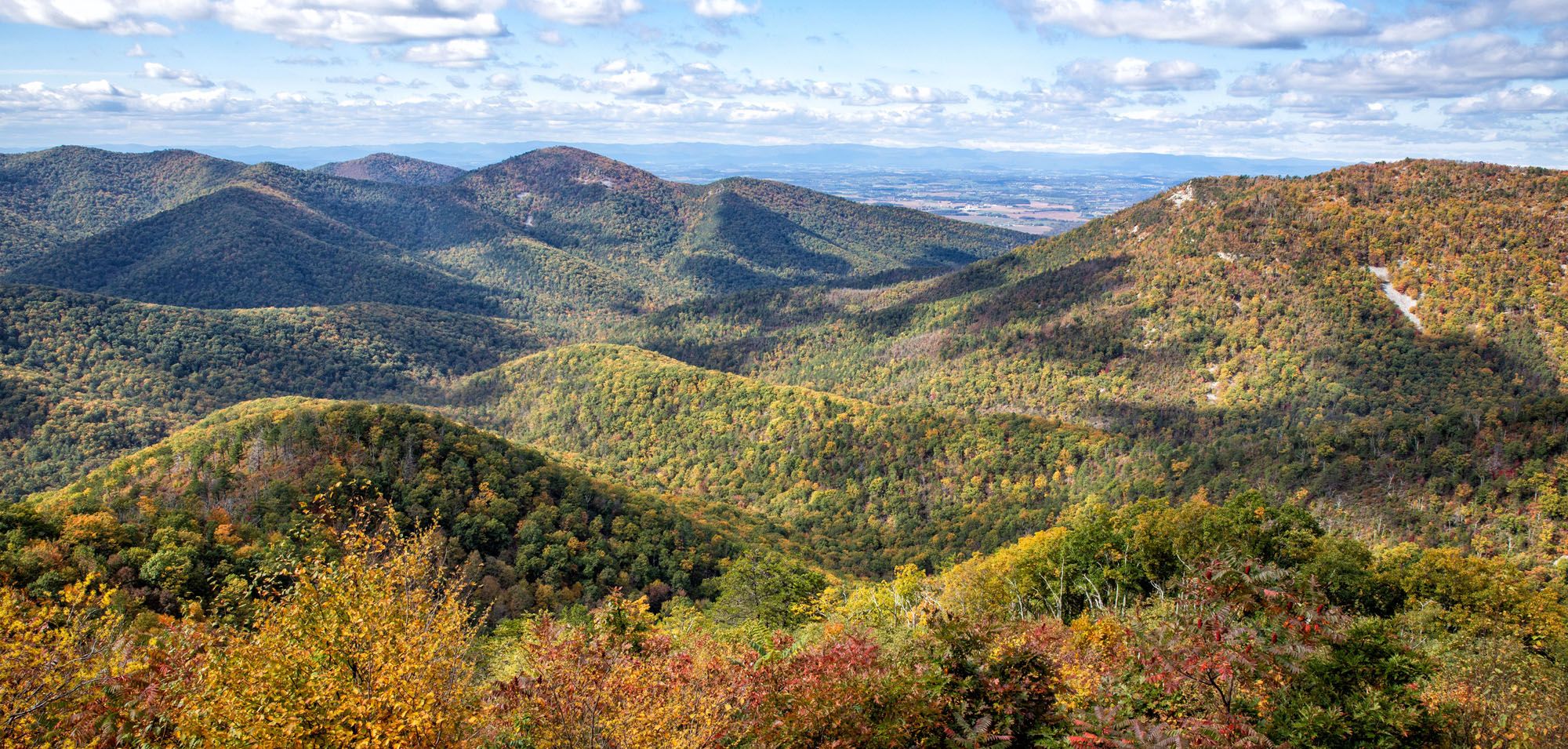 Shenandoah National Park Photo