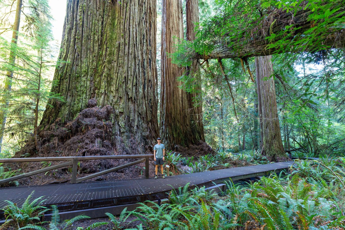 Tyler in Grove of Titans