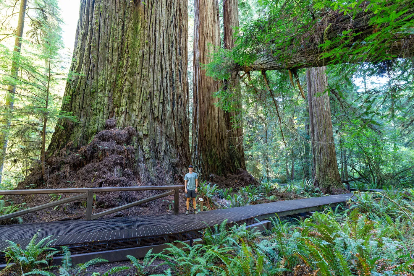 Tyler in Grove of Titans