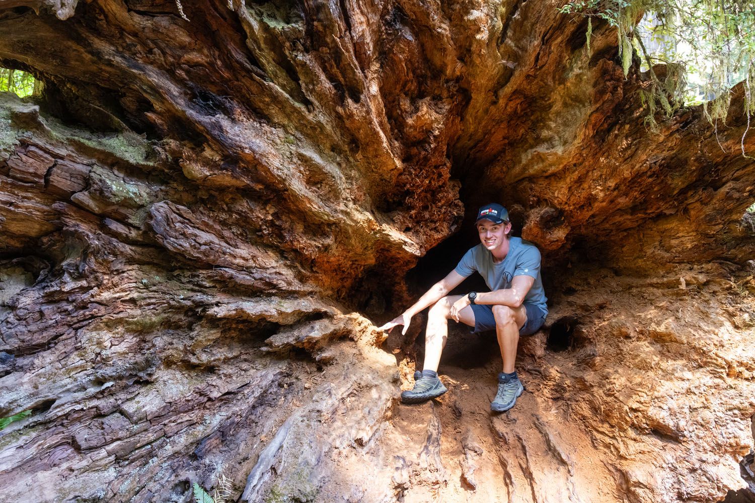 Tyler in Jedediah Smith Redwoods