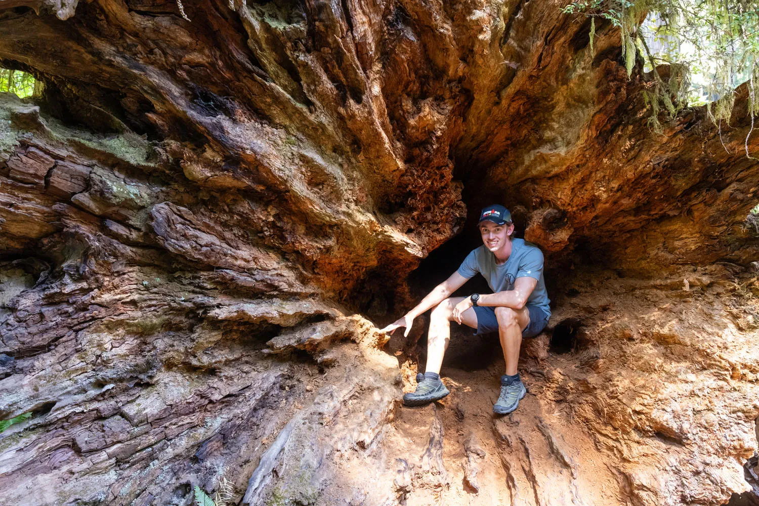 Tyler in Jedediah Smith Redwoods