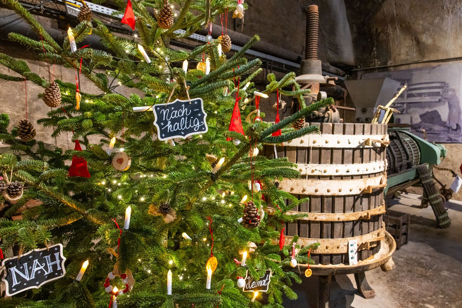 Christmas Tree Cellar Traben Trarbach
