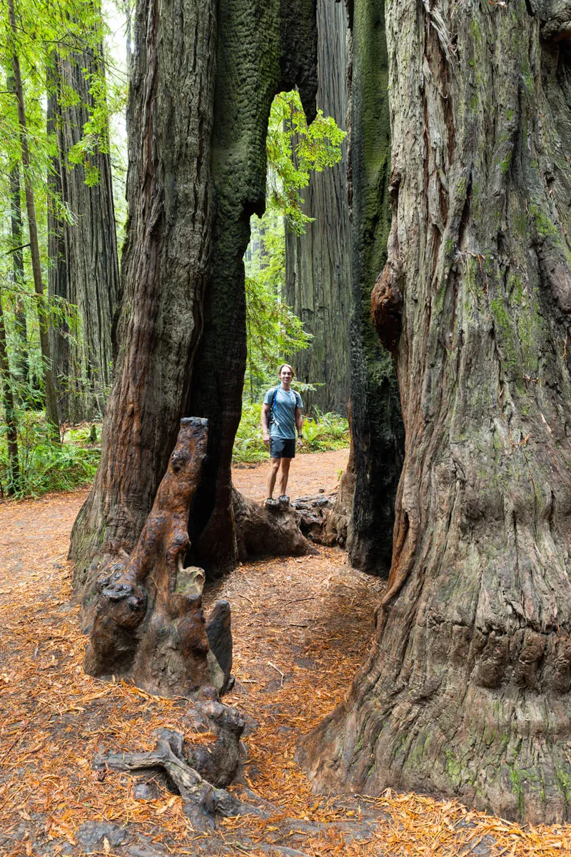 Tyler in California