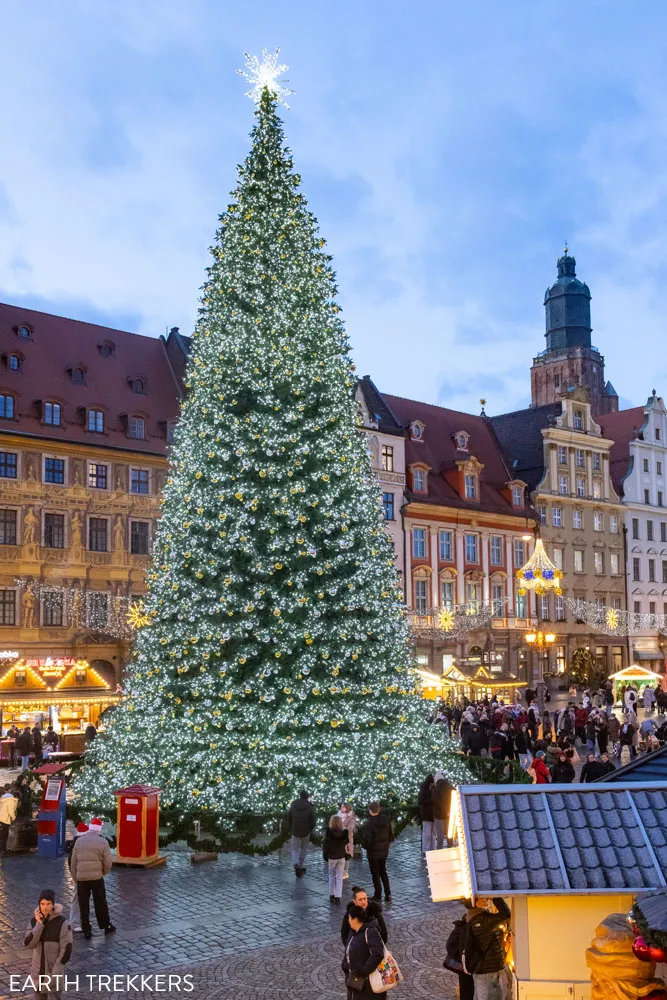 Wroclaw Christmas Tree