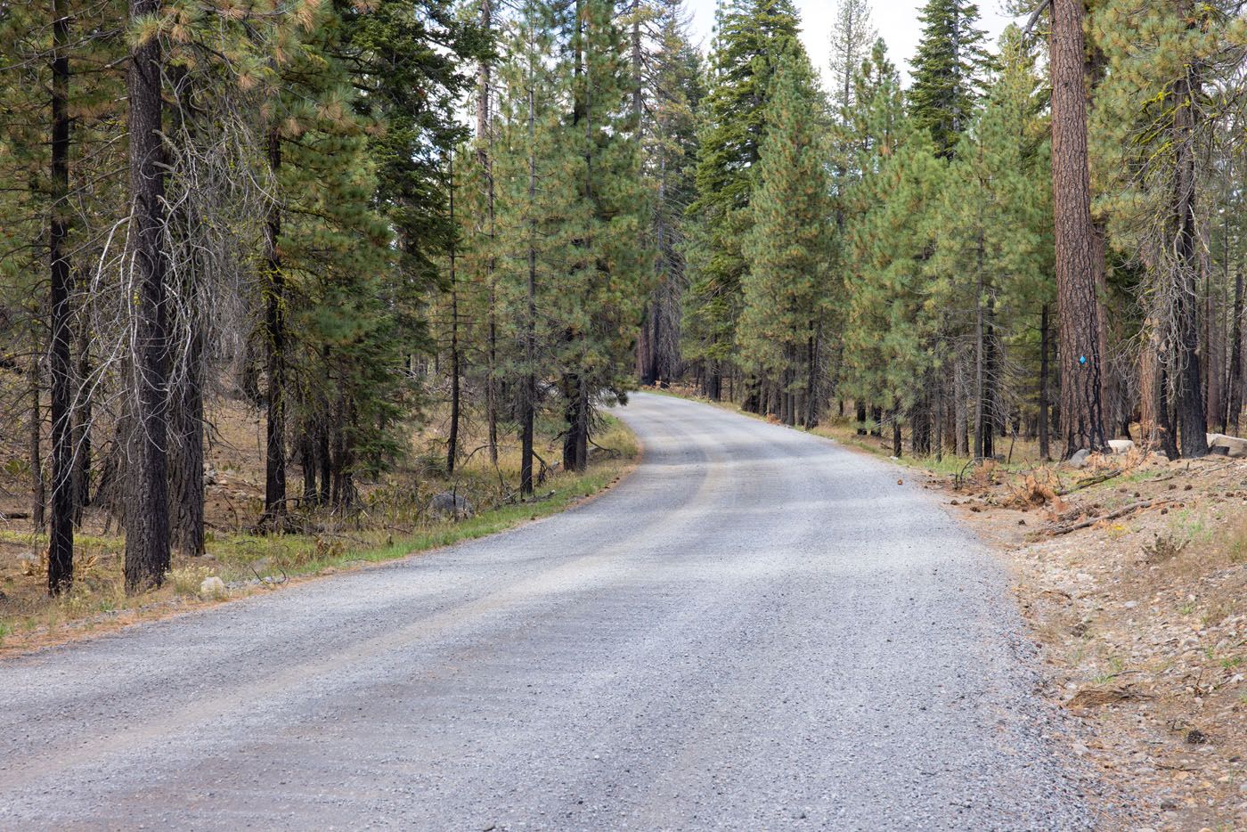 Butte Lake Road California