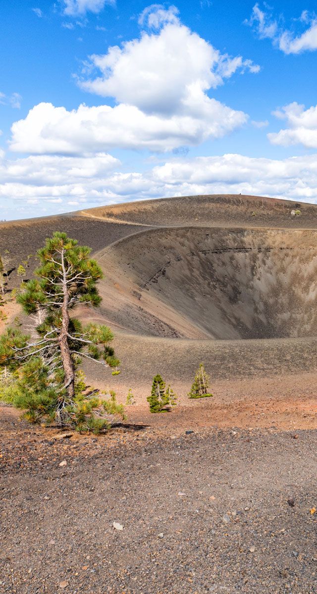 Cinder Cone