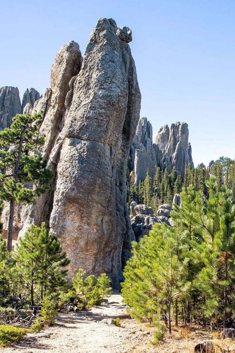 Custer State Park Photo