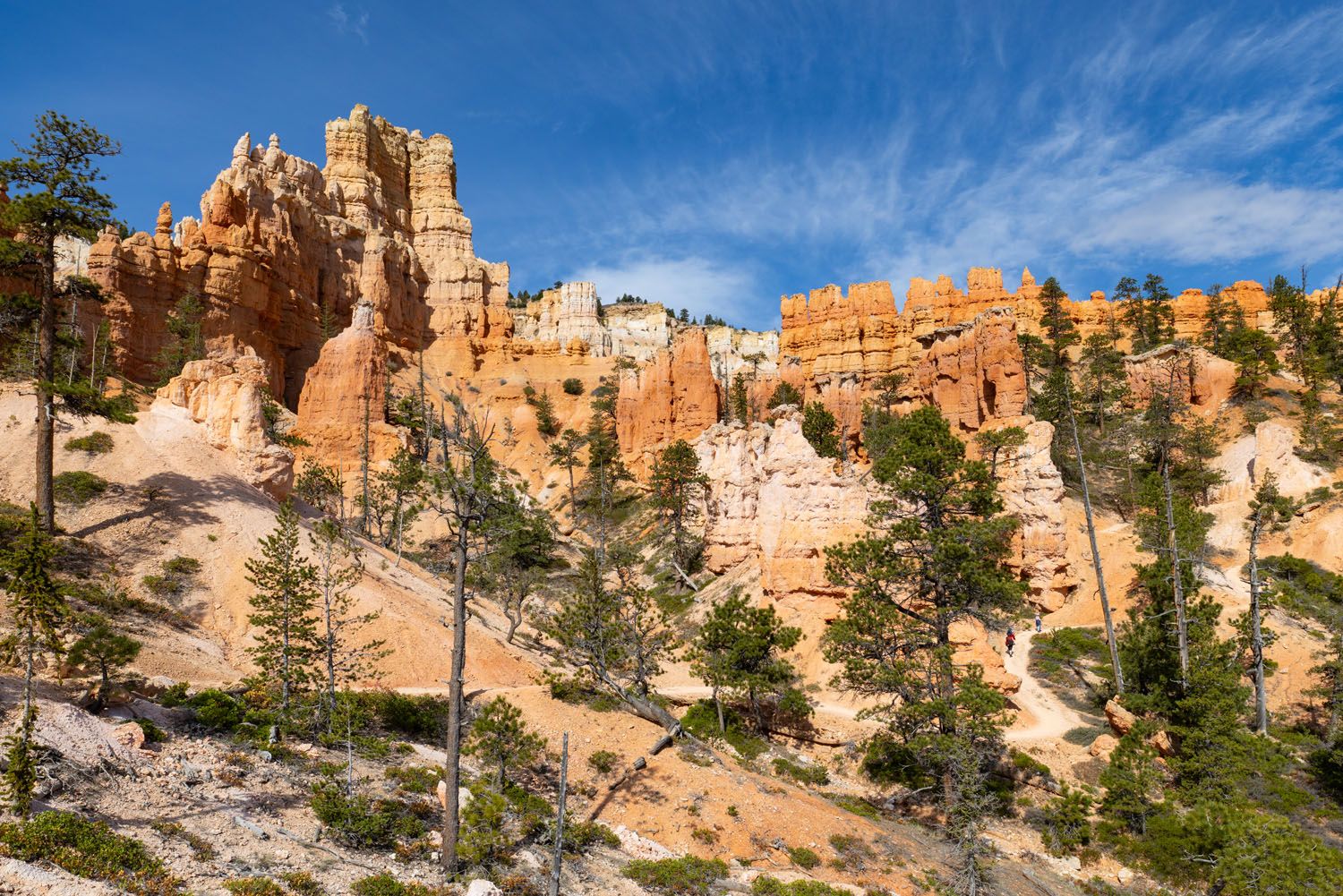 Figure 8 Trail Peekaboo Loop