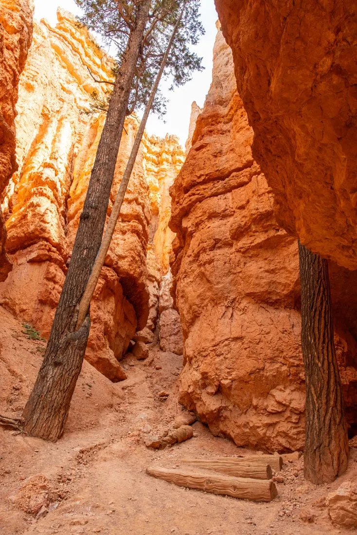 Heading into Wall Street Bryce Canyon